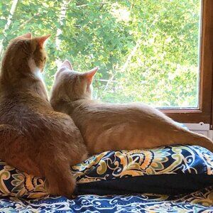 Meet your Posher, Andi